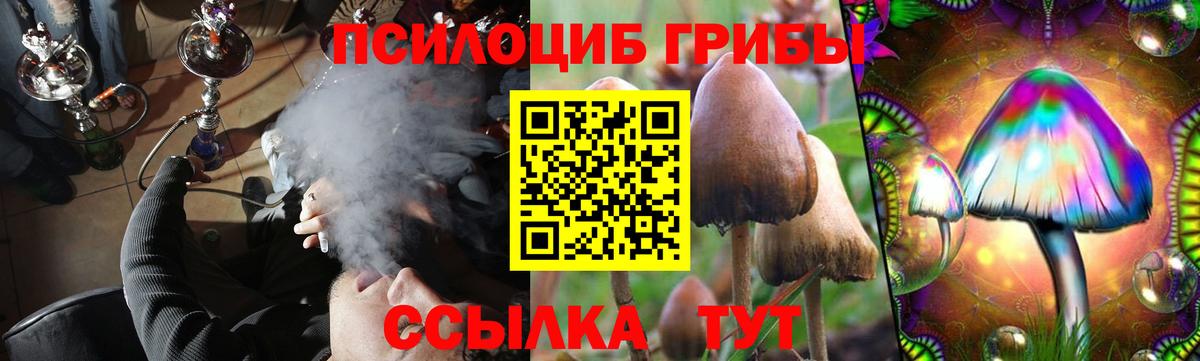 Майский  Псилоцибиновые грибы Psilocybe  Вход с VPN 